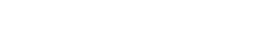 Wordmark typeface,  Ageia