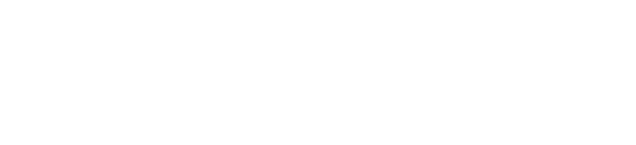 Wordmark typeface,  ITC Serif Gothic Pro