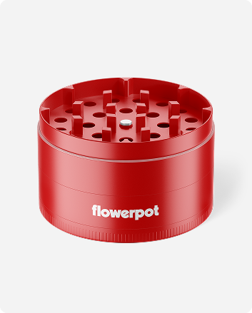 Flowerpot Studio Tee
